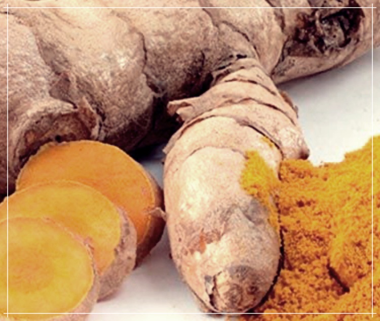 울금가루 효능, 먹는법, 보관방법 총정리