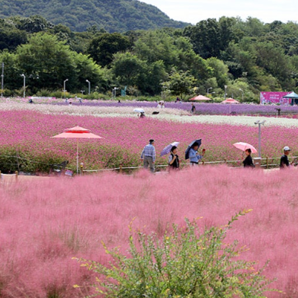 양주 나리공원