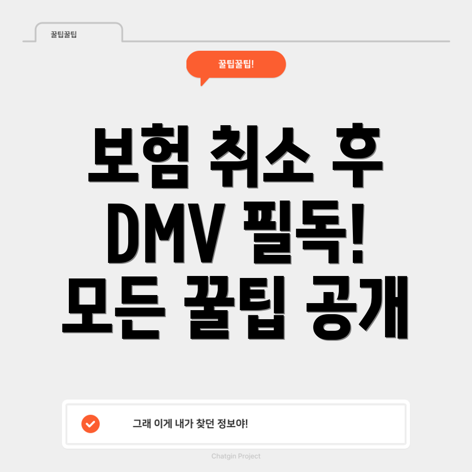 자동차 보험 취소