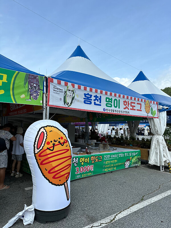 홍천 찰옥수수 축제 2026