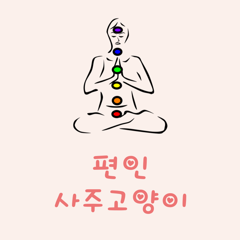 편인이란