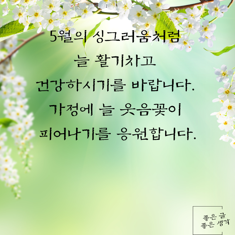 5월 인사말 문구 이미지 모음집 카톡 문자 메세지