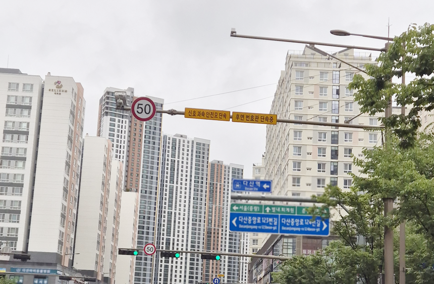 50km 후면 번호판 단속 카메라