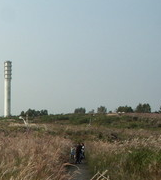 전국 수목원 BEST 5 – 자연의 품으로 떠나는 진짜 힐링 여행