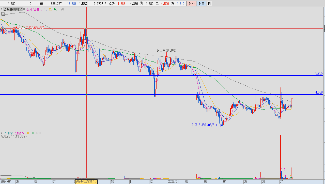 인트론바이오 차트 설명