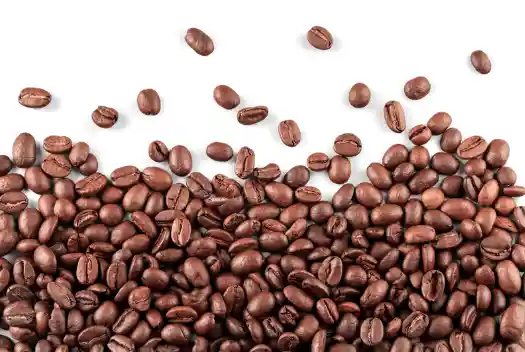 위암에 좋은 음식 피해야 할 나쁜 음식