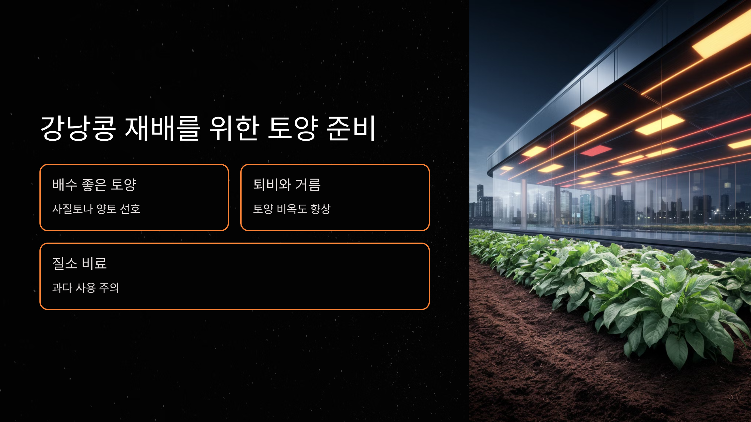 강낭콩 재배를 위한 토양 준비