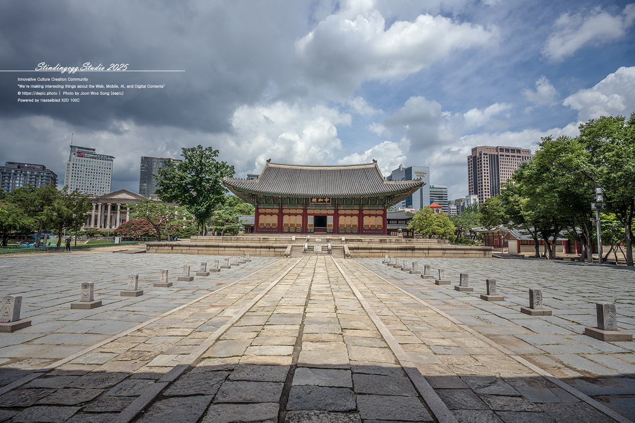 #서울 #대한제국 #덕수궁 #궁궐 #배롱꽃