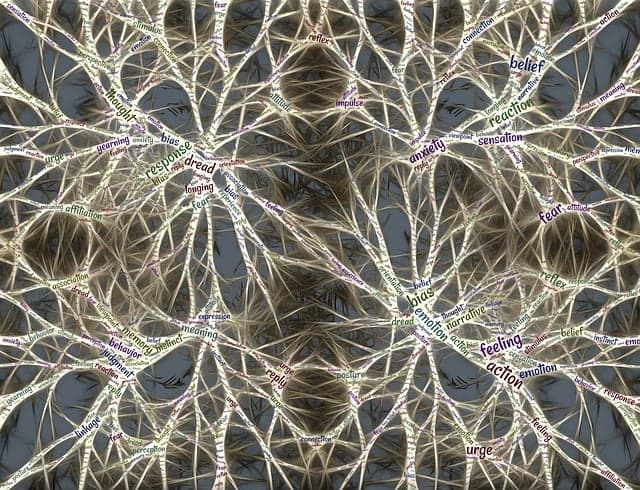 ‘괜찮은 척’이 쌓이면 뇌는 어떻게 반응할까?