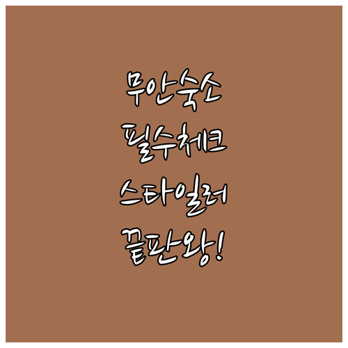 무안 출장 및 가족 여행용 호텔 추천..