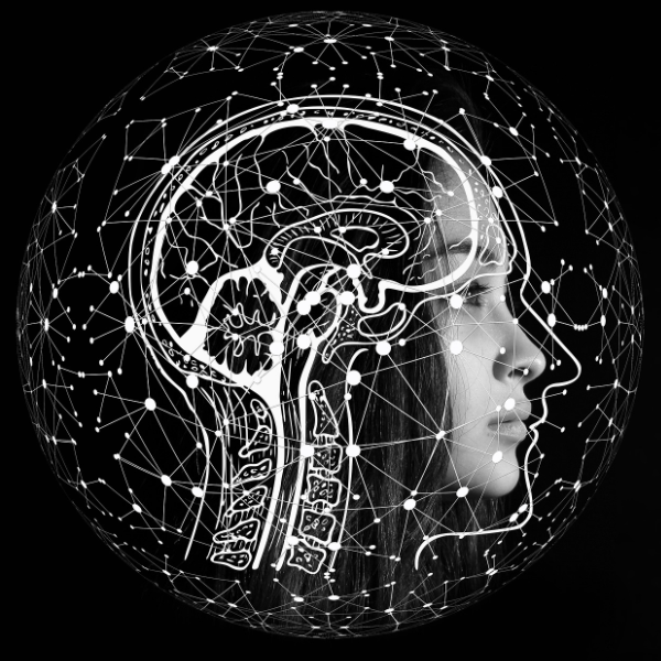 포스타디딜세린