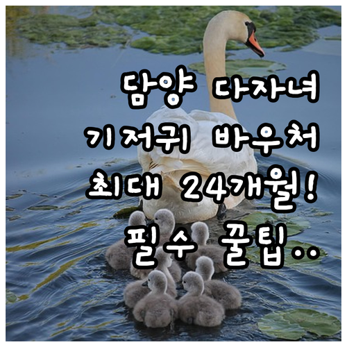 2025년 담양군 다자녀가정 기저귀 ..