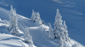 평창 대관령의 겨울