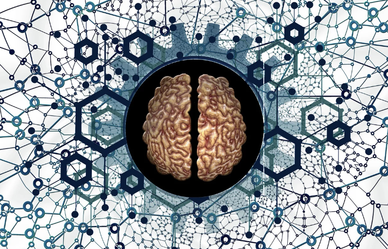 뇌는 어떻게 기억을 저장할까? &mdash; 기억의 형성과 소멸의 메커니즘