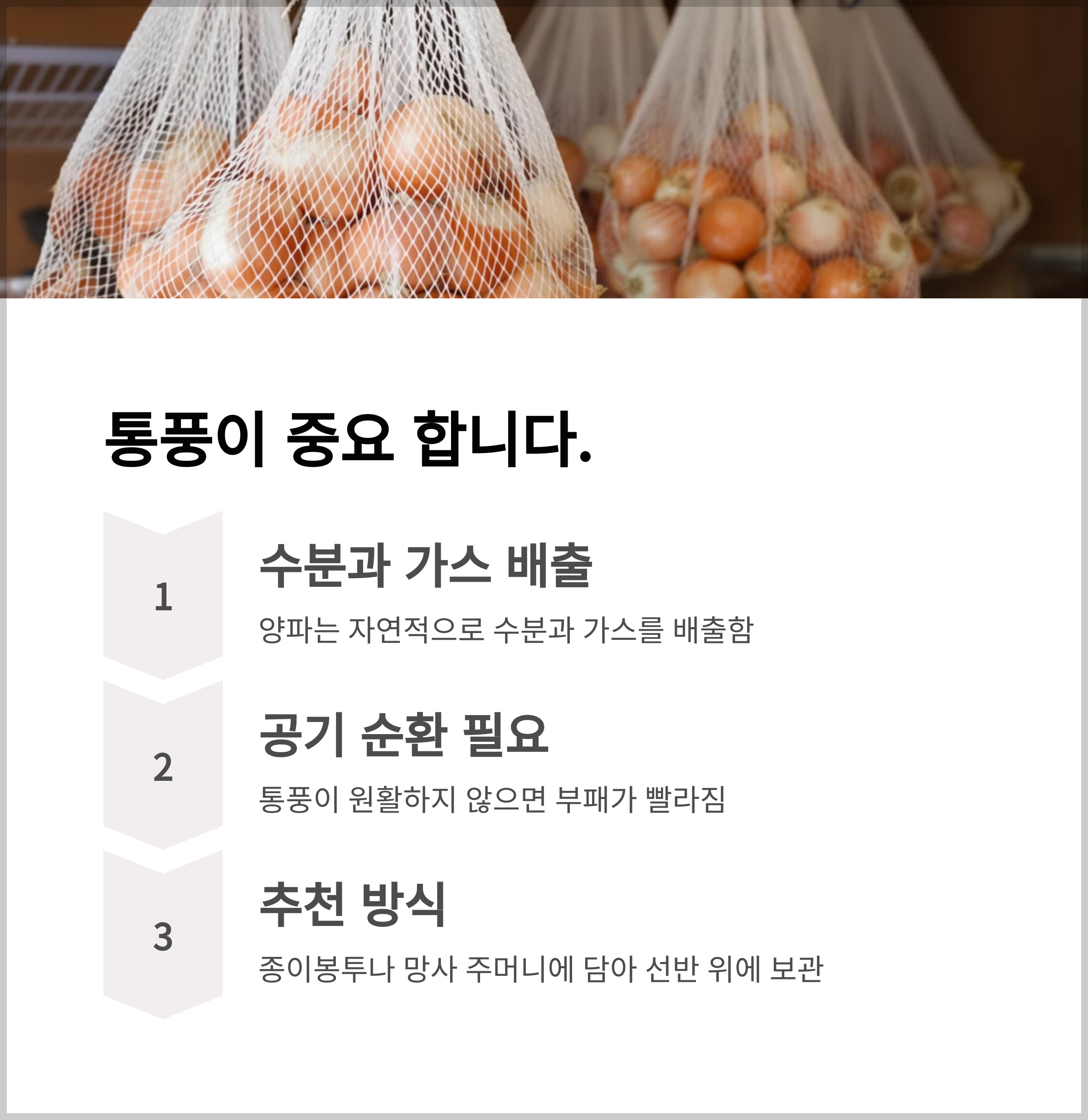 양파 보관 통풍의 중요성
