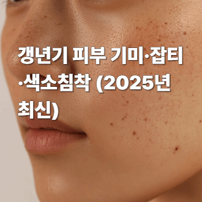 갱년기 피부 기미·잡티·색소침착 (2025년 최신)