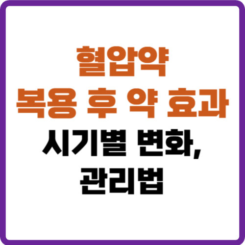 혈압약 복용 후 약 효과