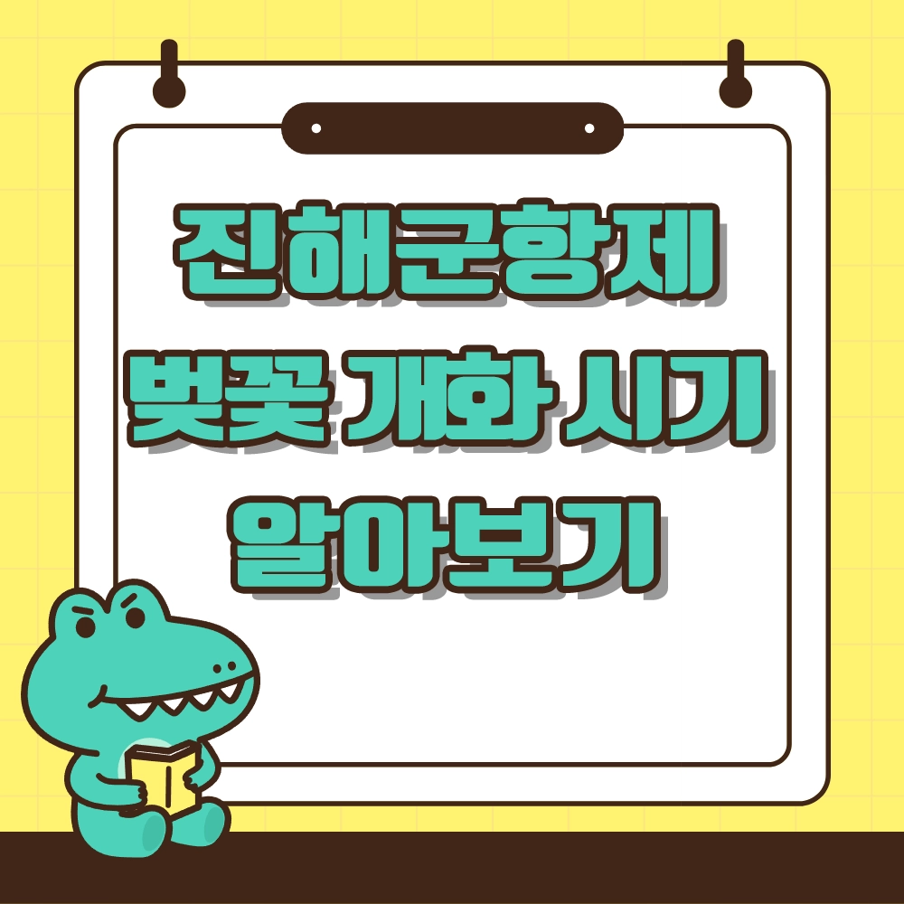 2025 진해군항제 벚꽃 개화시기