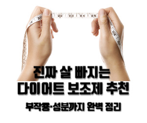 진짜 살 빠지는 다이어트 보조제 추천과 부작용·성분까지 완벽 정리