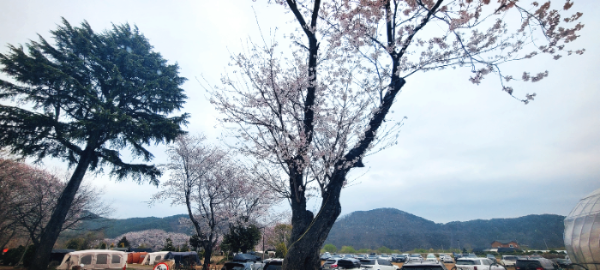 경호강 그린캠프 주차장