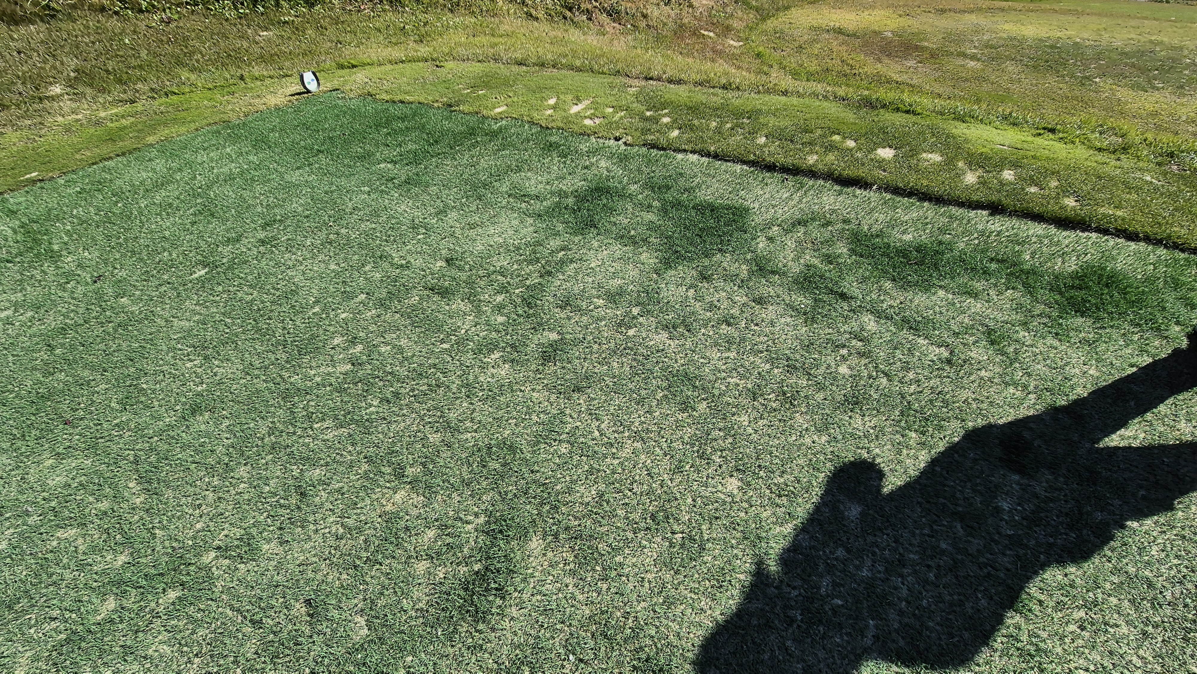 동촌gc 티잉구역 상태