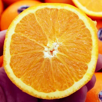 오렌지 효능 부작용 칼로리_11