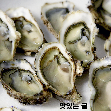 생굴
겨울의맛
맛있는굴