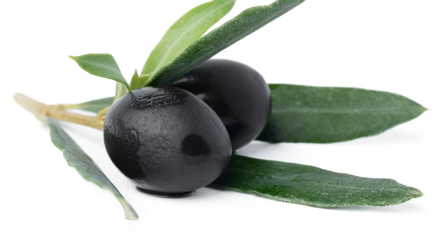블랙올리브가 우리몸에 주는 이로운 점