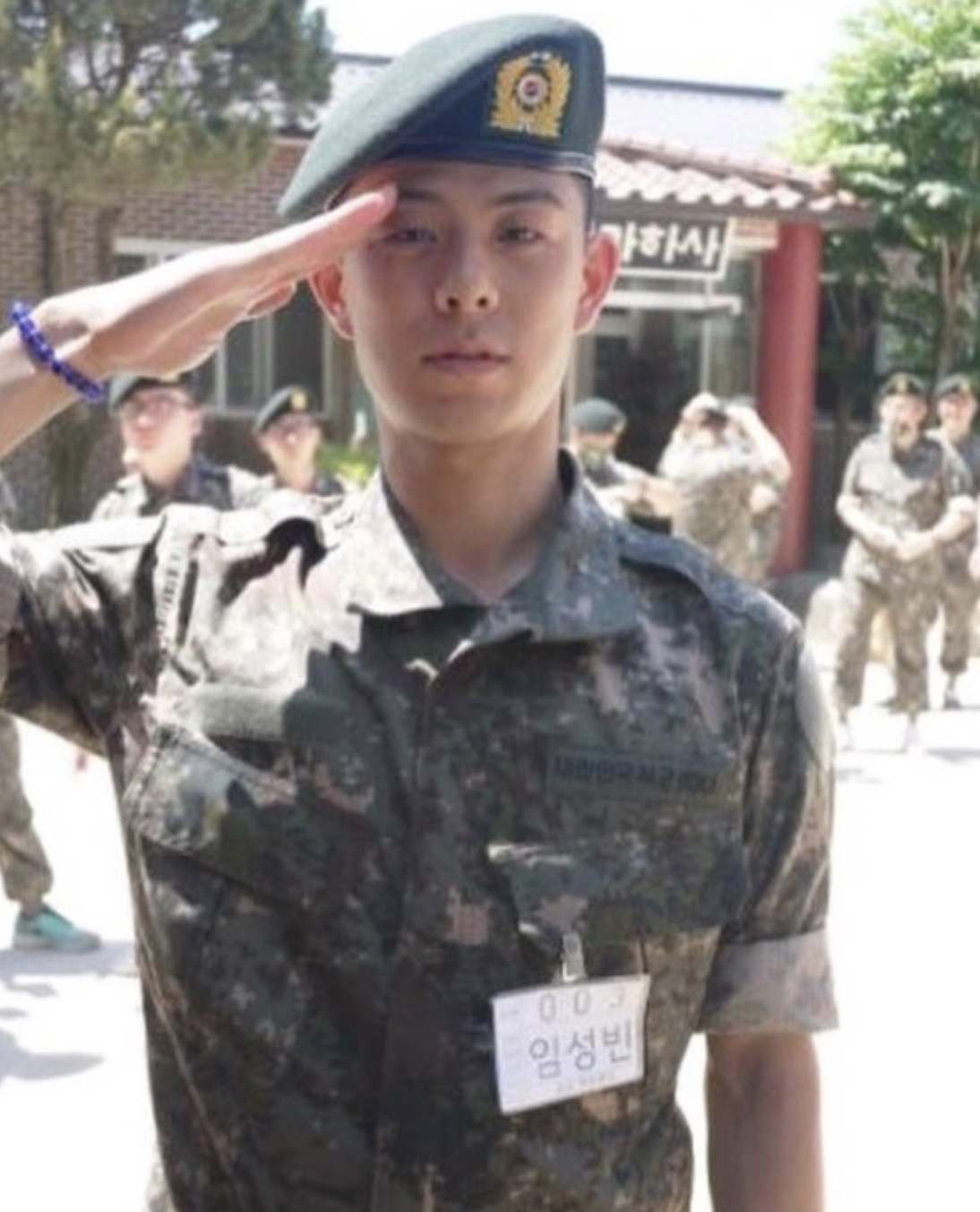 빈지노 전역