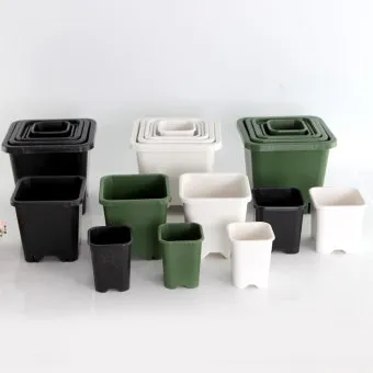 화분 뿌리썩음 예방 배수층강화 흙배합개선 물주기간격 체크리스트_15