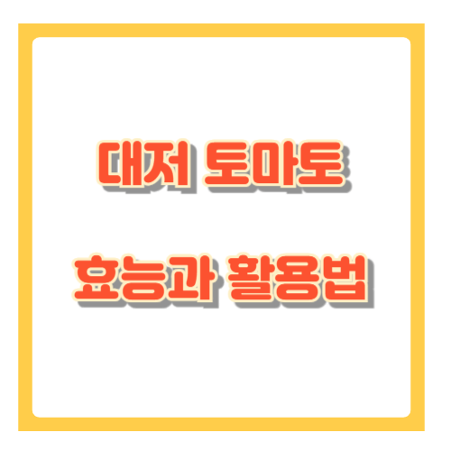 대저 토마토의 효능과 활용법