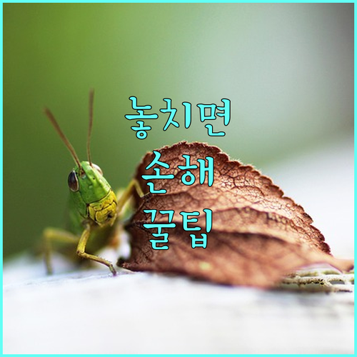 요양병원 외출, 환자와 가족을 위한 