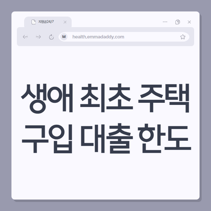 생애 최초 주택 구입 대출 한도 01