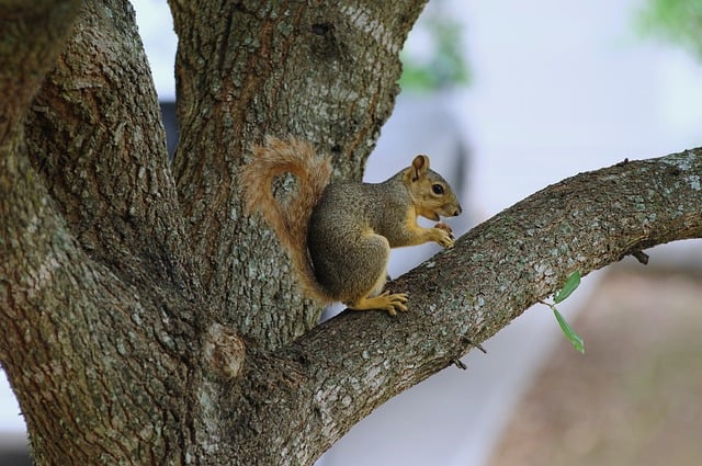 소변검사 수치 해석