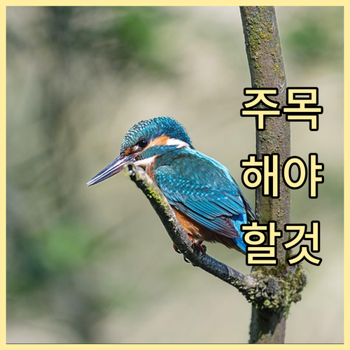 내 학자금 이자, 군산시가 대신? 신..