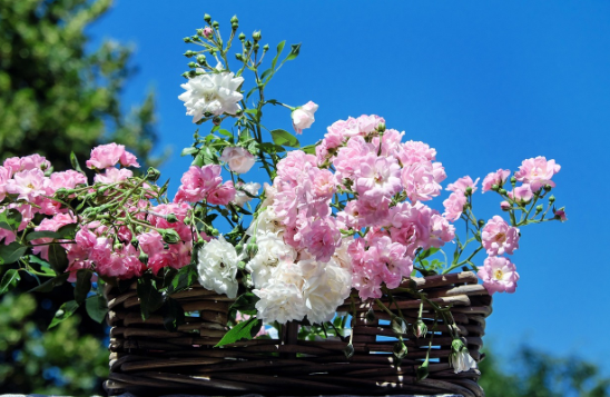 축의금 봉투 쓰는 방법