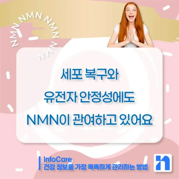 NMN 효능 효과 저속노화 노화방지 항노화