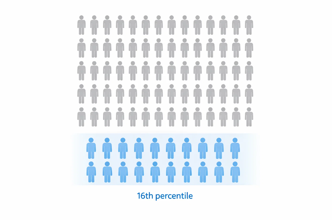 전체 집단 100명 중 하위 16퍼센트 위치를 시각적으로 보여주는 백분위 개념 이미지