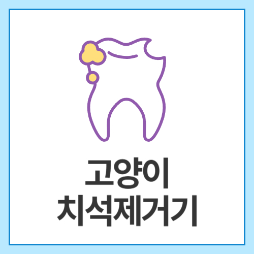 고양이-치석제거기