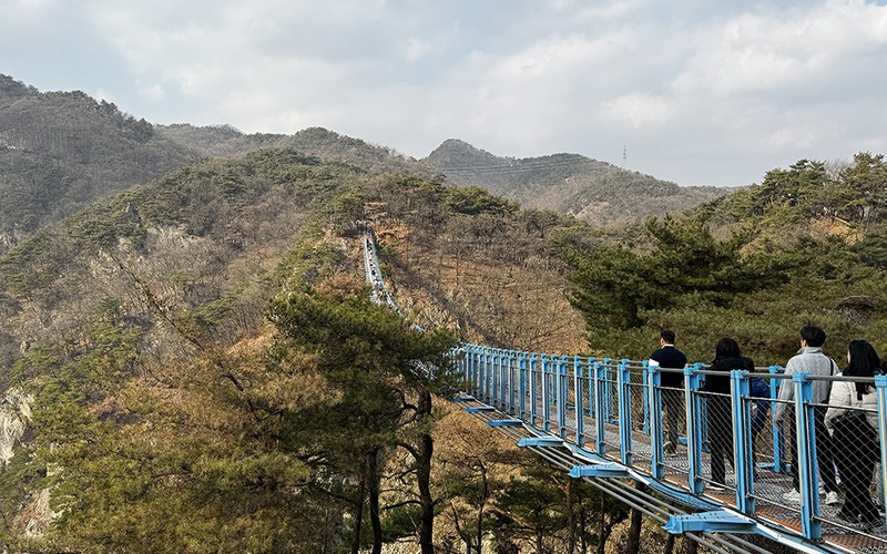 원주 소금산 그랜드밸리 출렁다리 케이블카 요금·코스·주차 완벽 정리 -