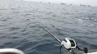 초보 바다낚시 최고 추천 명소 쉽게 낚시할 수 있는 추천 장소 5곳_3