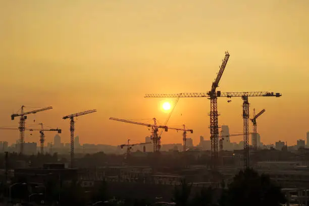 비타민 D 부족증상