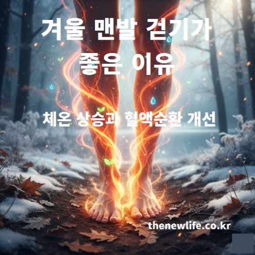 겨울철 맨발 걷기가 체온 상승과 혈액순환 개선에 도움이 되는 과정을 표현한 이미지
