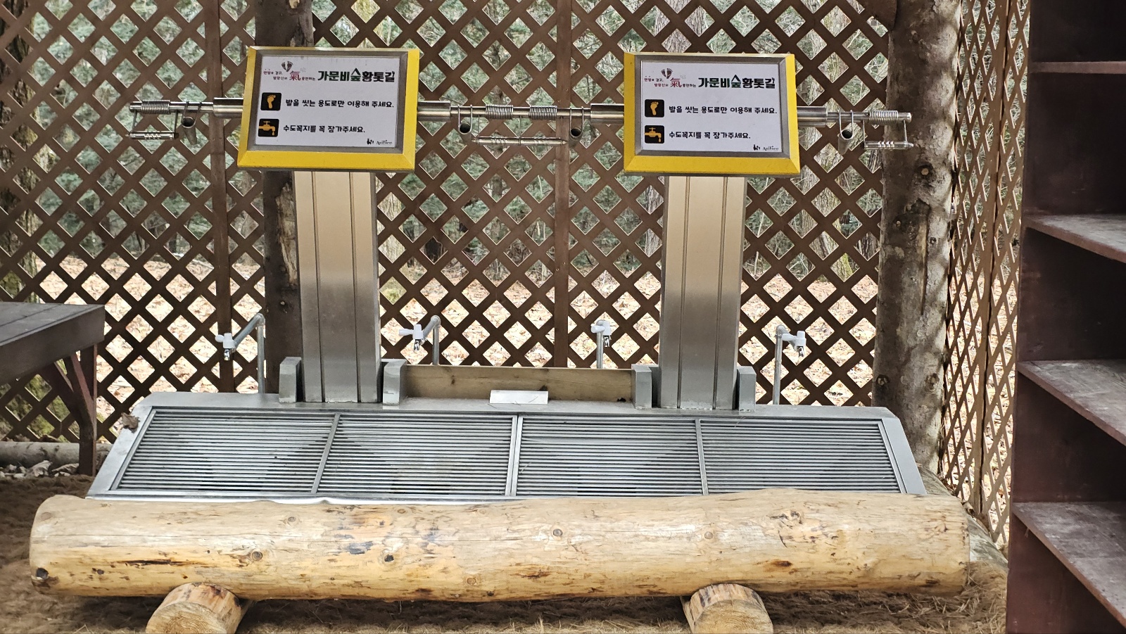 [24.11월] 아이와 평창 #1 - 모나 용평리조트 애니포레🏔️