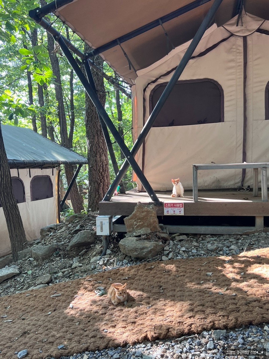 바라산 자연휴양림