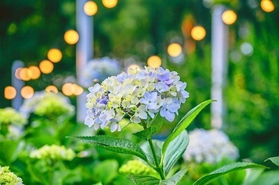 여행비 절약 전략, 숙소 할인·쿠폰 총정리