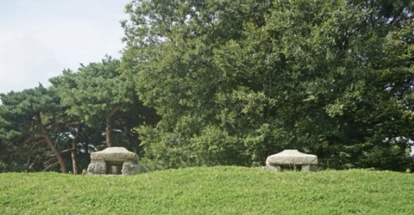 Alt 속성 문제 해결 설명 이미지