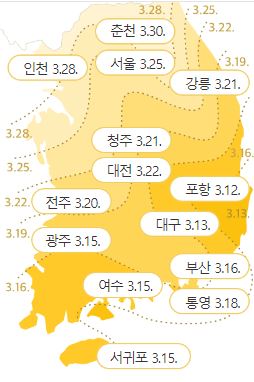 2023년 봄꽃 개화시기 진달래 개나리 벚꽃 축제
