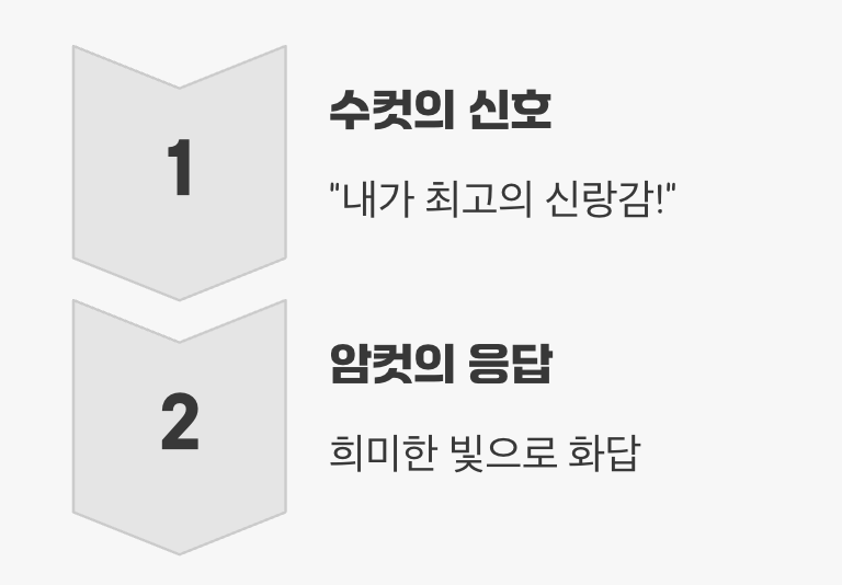 빛으로 나누는 사랑의 대화