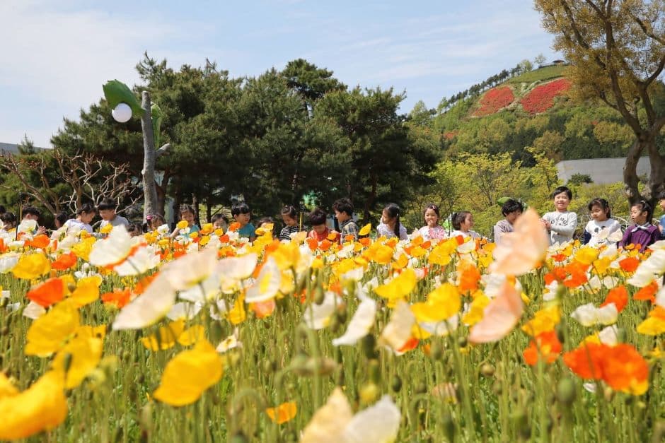 [4월 축제]2025 함평나비대축제｜일정, 기간, 입장권 예매 할인, 입장권 예약 이벤트, 공연, 체험프로그램 총정리